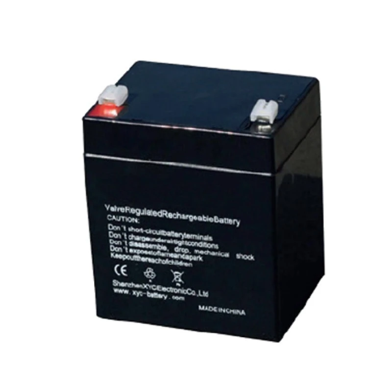 Burglar Alarm Station Battery